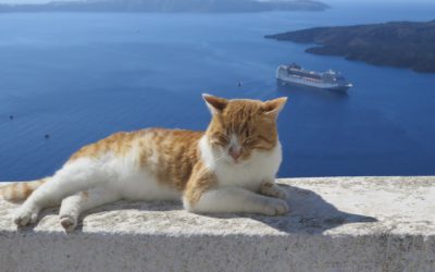 La Grèce, le pays du Chat